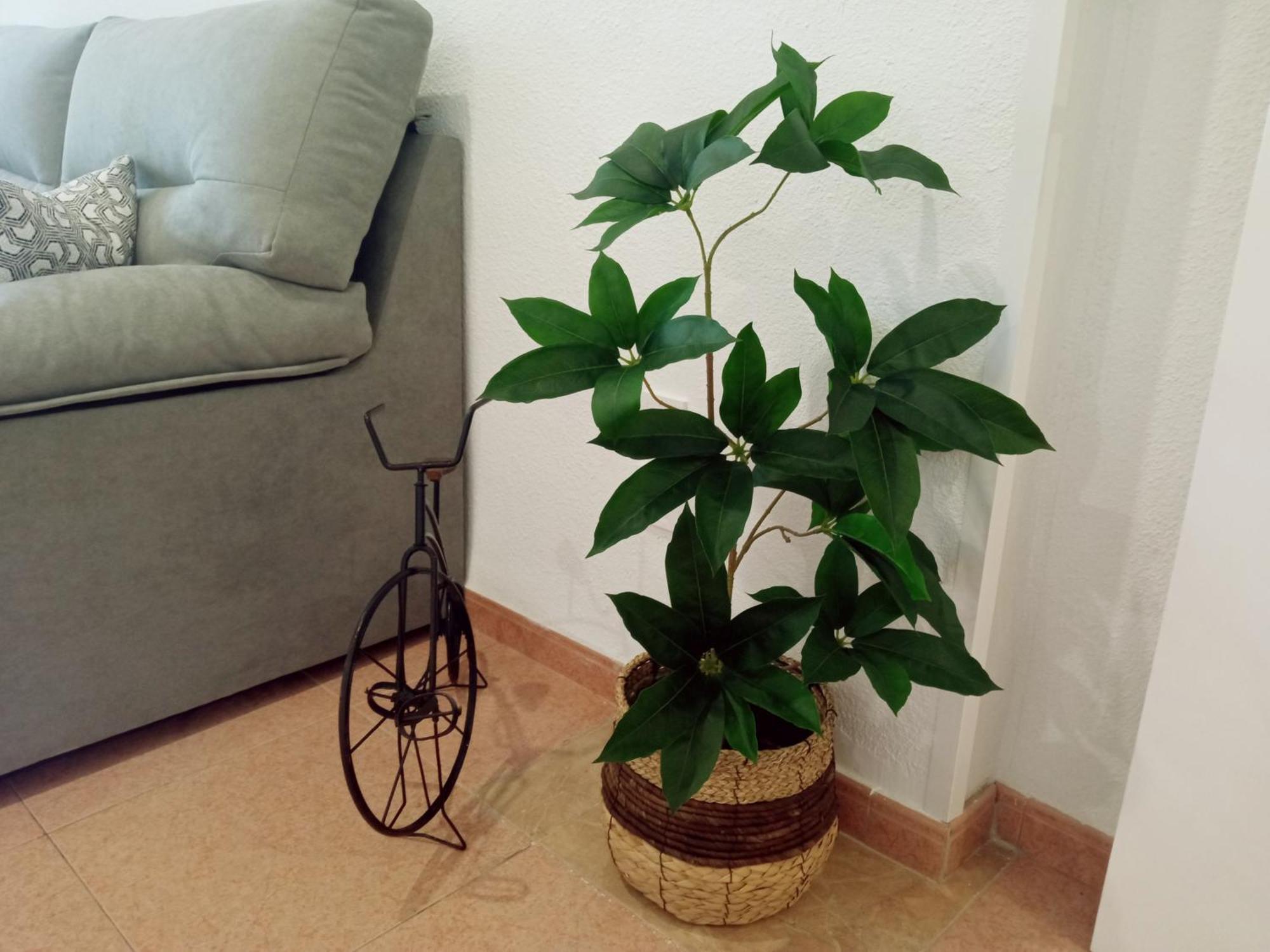 Apartamento Los Jardines De La Magdalena Córdoba Kültér fotó